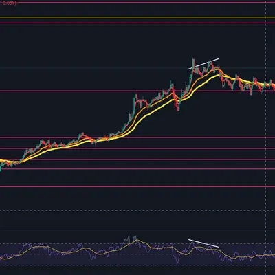 30일 챌린지 1기 2주차]