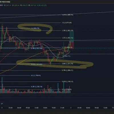 100회 트레이딩 36