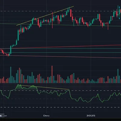 [30일 챌린지 1기 2주차]  다이버전스