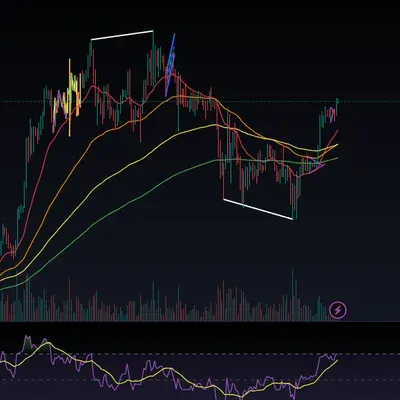[30일 챌린지 1기 2주차] 고슴_다이버전스 체크