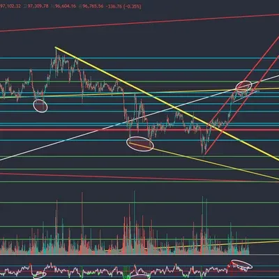 1기11일차 다이버젼스 찾기