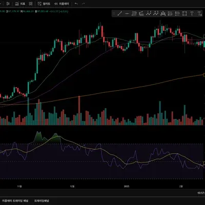 [30일 챌린지 25기 2주차]RSI지표
