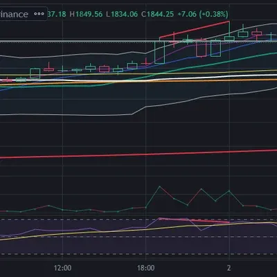 [30일 챌린지 25기 2주차] RSI와 다이버전스