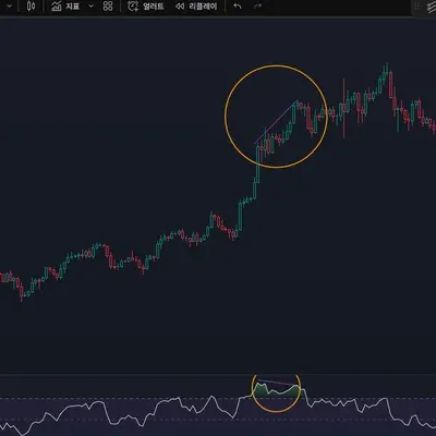 (30일 챌린지  1기 11일차 과제)  다이버젼스 찾기