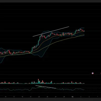 [30일 챌린지 1기 2주차] 다이버전스 찾기