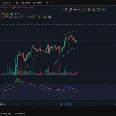 [30일 챌린지 25기 2주차]  RSI 추가 및 하락다이버전스