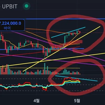 30일 챌린지 25기 2주차 다이버전스