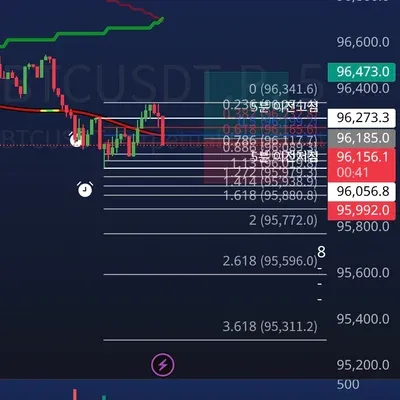 100회 트레이딩 19회차