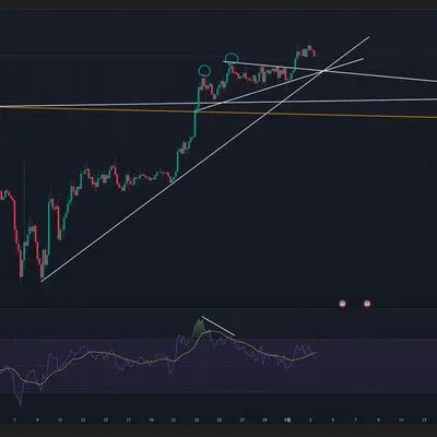 [30일 챌린지 1기 2주차] 다이버전스 체크