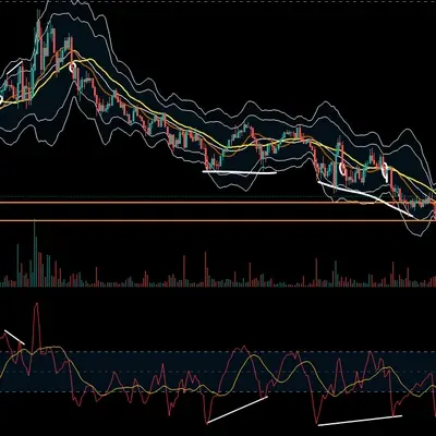 [30일 챌린지 1기 2주차]