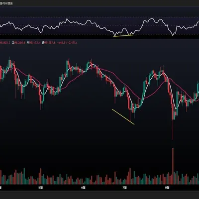 [30일 챌린지 25기 2주차] 다이버전스