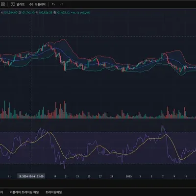 [30일 챌린지 25기 2주차] RSI 지표