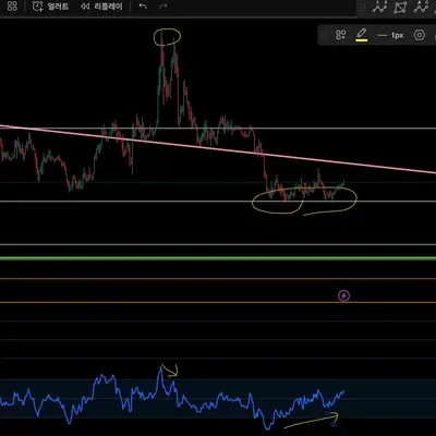 [30일 챌린지 1기 2주차] 다이버젼스