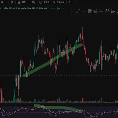 [30일 챌린지 1기 2주차] 다이버전스