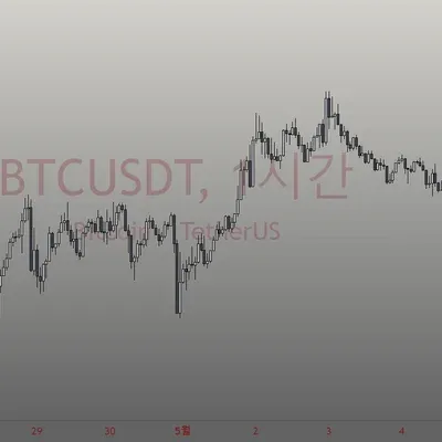 [30일 챌린지 2기 1주차] 나만의 트레이딩 뷰 셋업