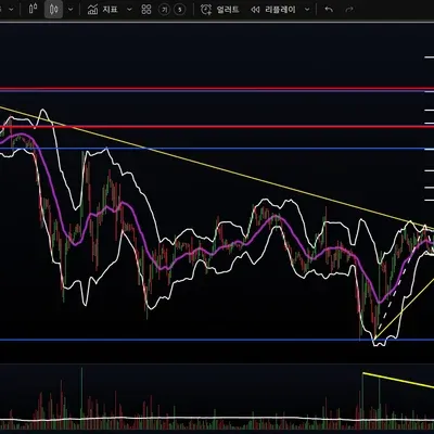 24기 3주차 교육을 통해 초보의 시장 점검