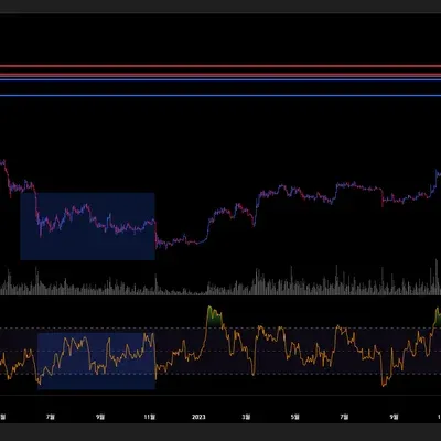 [30일 챌린지 25기 2주차]