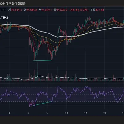 [30일 챌린지 1기 2주차] 다이버전스 파악