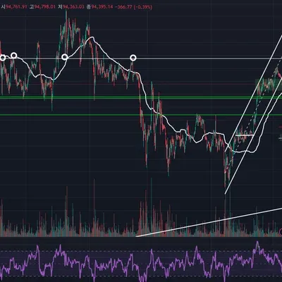 30일 챌린지 24기 3주차