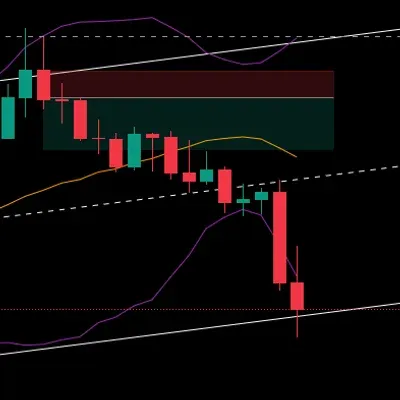 [30일 챌린지 23기 4주차]