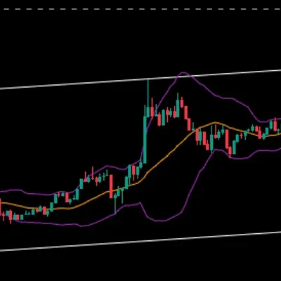 [30일 챌린지 23기 3주차]