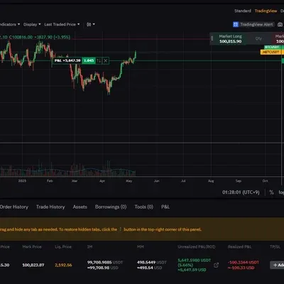 [30일 챌린지 24기 4주차] 비트코인 매수 포지션 수익 중