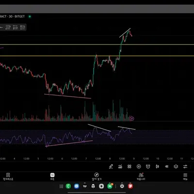 [30일 챌린지 27기 1주차] 비트코인 시황