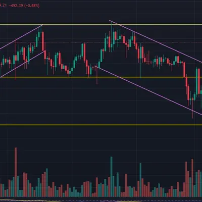 [30일 챌린지 27기 1주차]