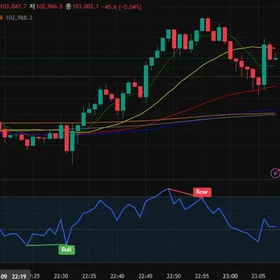 [30일 챌린지 26기 2주차] RSI 지표