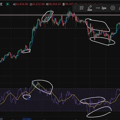 <30일 챌린지 2기> 11일차 미션 다이버전스