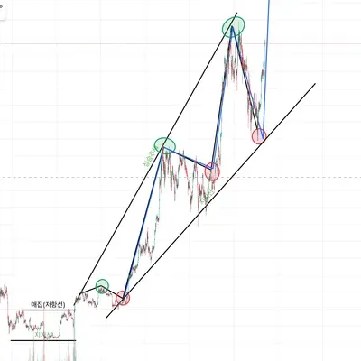 [30일 챌린지 27기 1주차]