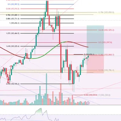 100회 트레이딩(12회)