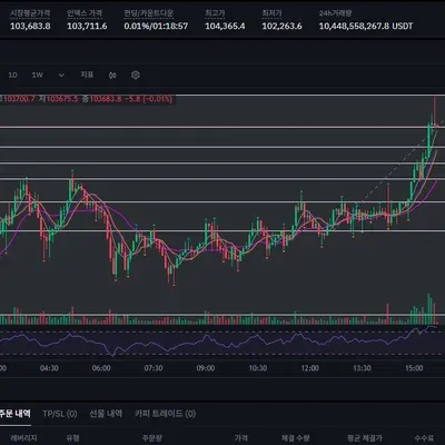 30일 챌린지 24기 4주차 - 비트코인 실전투자