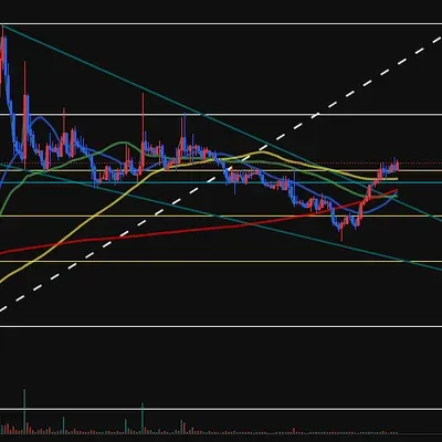 [30일 챌린지 24기 4주차]