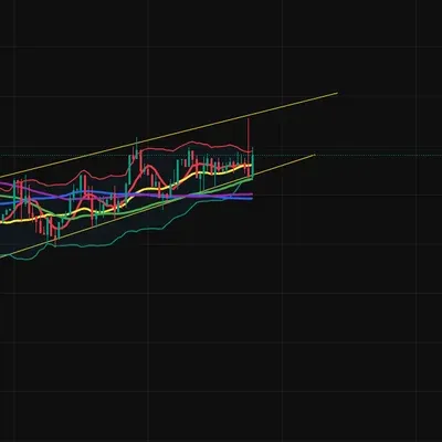 [30일 챌린지 24기 4주차] 수익인증