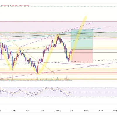 100회 트레이딩 50
