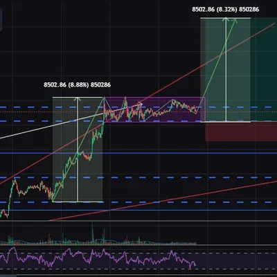 [30일 챌린지 24기 4주차]모의