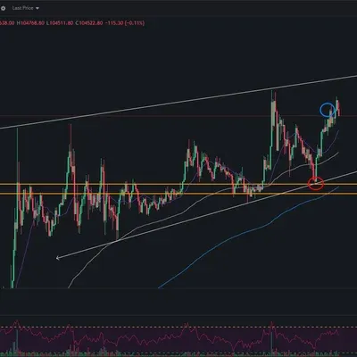 [30일 챌린지 25기 3주차] 수익인증