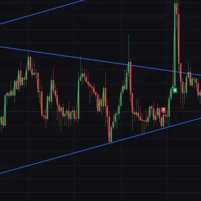100회 트레이딩 매매일지(1/100)