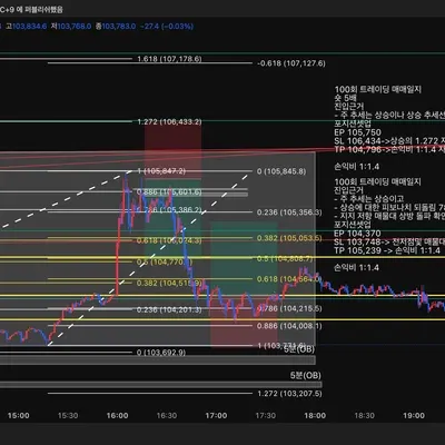 100회 트레이딩 매매일지(19/100)