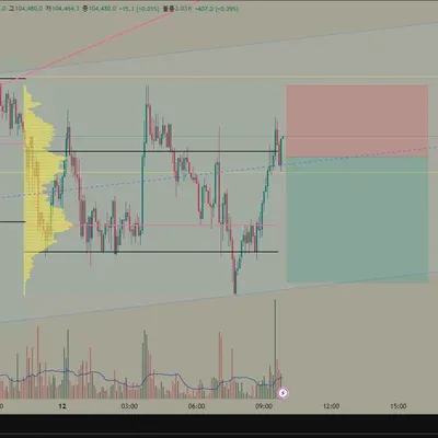 100회 챌린지 (11/100)