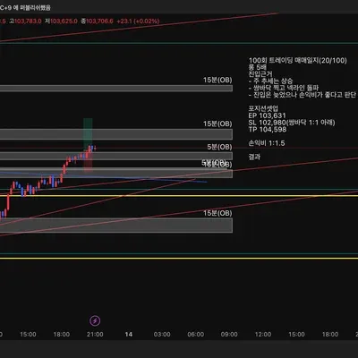 100회 트레이딩 매매일지(20/100)