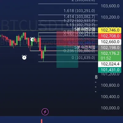 100회 트레이딩 24회차