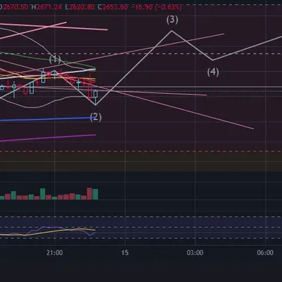 [30일 챌린지 25기 4주차] 엘리엇 파동 - 손실