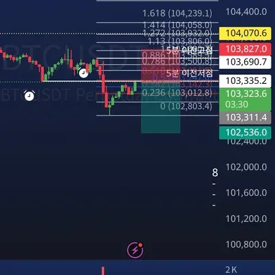 100회 트레이딩 25회차