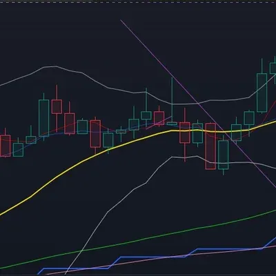 [30일 챌린지  1기 4주차]