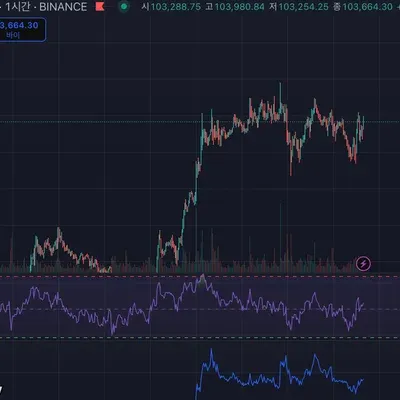  [30일 챌린지 27기 2주차] RSI 차트