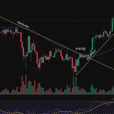 [30일 챌린지 28기 1주차]