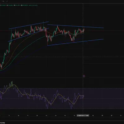[30일 챌린지 27기 2주차]