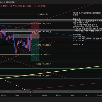 100회 트레이딩 매매일지(24/100)